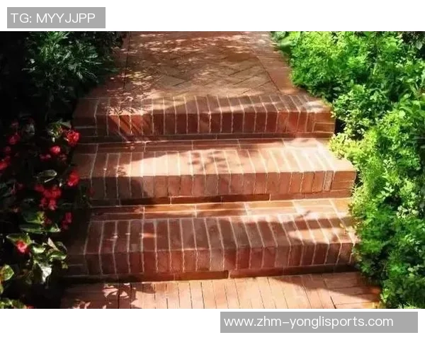 足球场的多种表达方式及其在不同语境中的应用解析 足球场的多种表达方式及其在不同语境中的应用解析